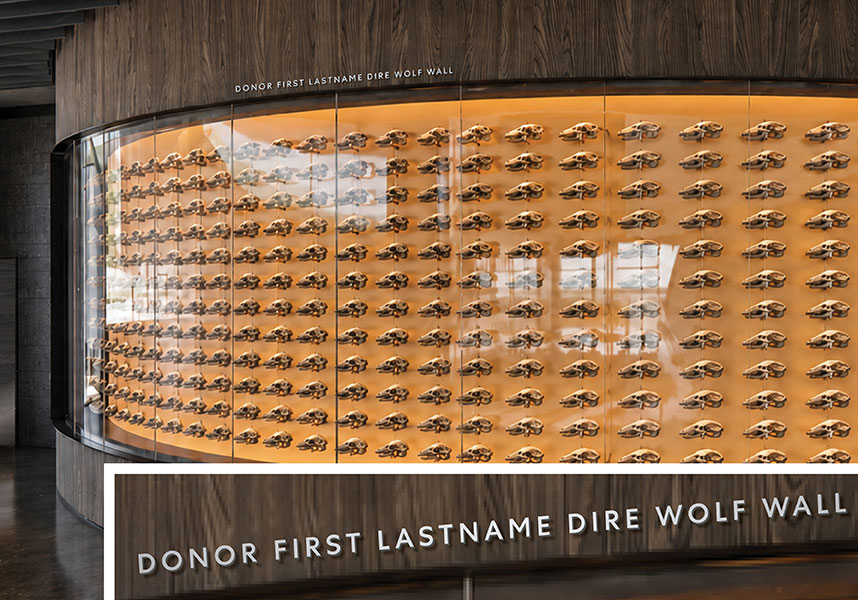 Dire Wolf Wall