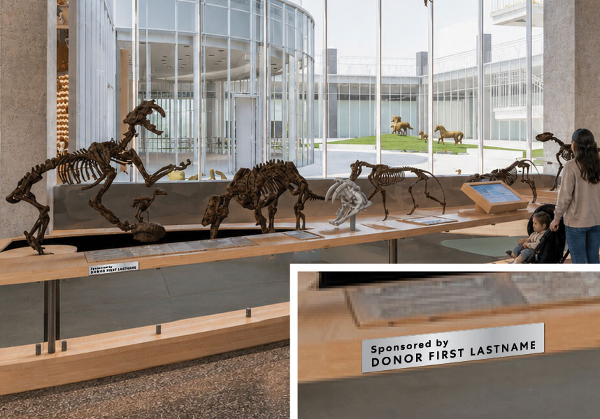 Fossil Scene 1: An Entrapment