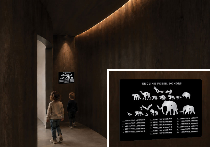 Endling Fossil (13)